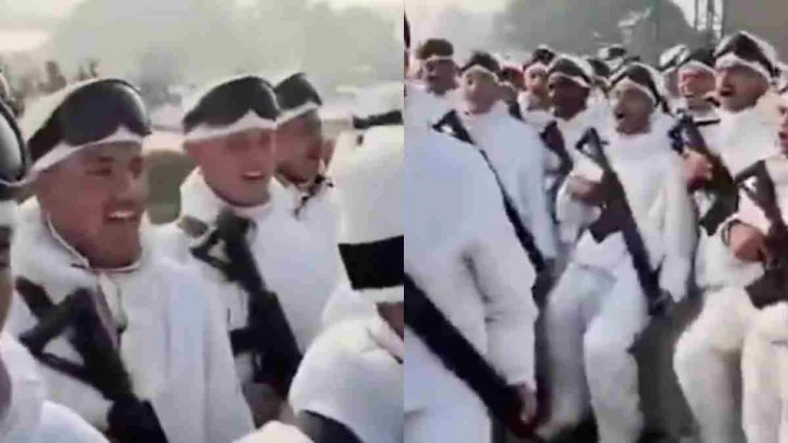grab shot of indian army viral video