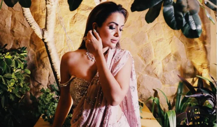 45 की उम्र में भी 25 सा जलवा, अमृता अरोरा के जन्मदिन पर उनके सफर की अनकही दास्तां