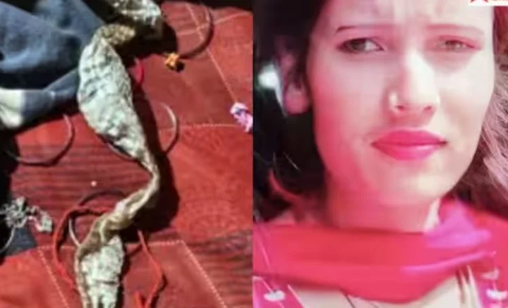 लड़की के कपड़ों से लिपटी मिली सांप की केंचुल, लोग समझे नागिन बन गई, लेकिन हकीकत कुछ और थी
