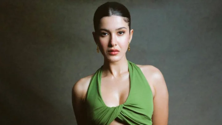 Shanaya Kapoor dating life