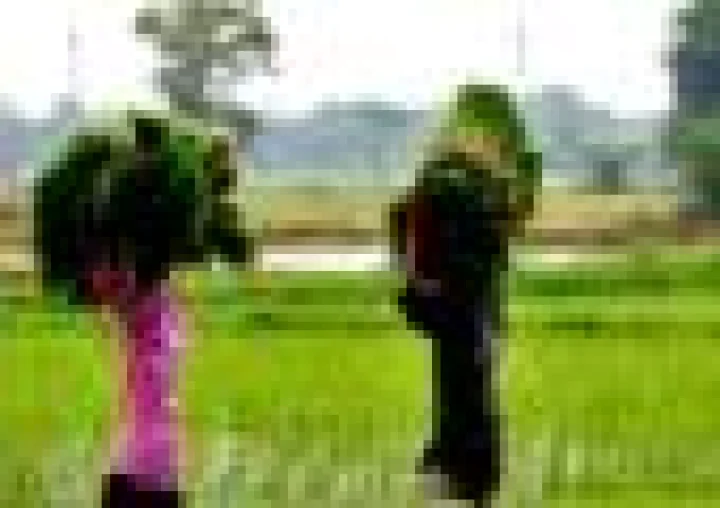 किसानों के लिए आफत बना मौसम, सावन में भी सूखे के आसार