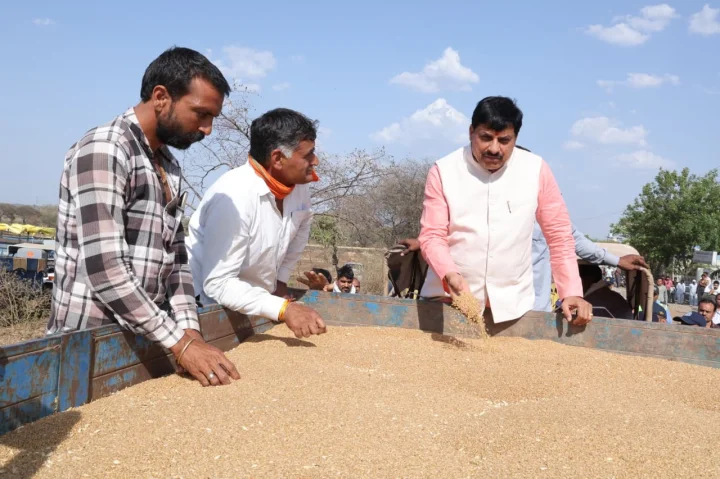 The government will purchase wheat in Madhya Pradesh till May 28