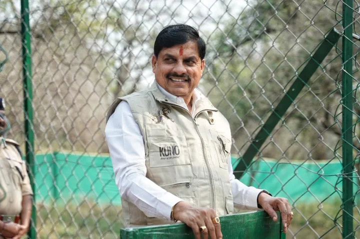 अब खुले जंगल में घूमेंगे और 2 चीते, सीएम डॉ. मोहन यादव बोले, प्रोजेक्ट चीता में कीर्तिमान रच रहा एमपी