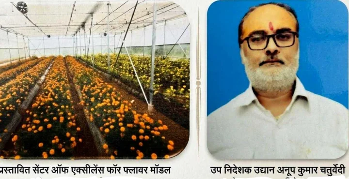 दो करोड़ की लागत से फूलों की खेती का हब बनेगा अयोध्या का पिरखौली क्षेत्र
