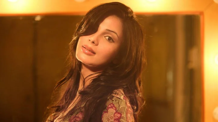 Kirti Kulhari controversy