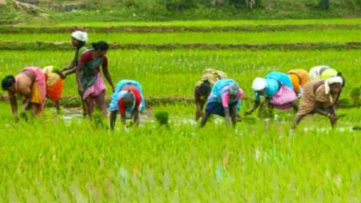 मानसून में देरी के बीच गुजरात सरकार का बड़ा कदम, किसानों को अब 8 के बजाय मिलेगी 10 घंटे बिजली