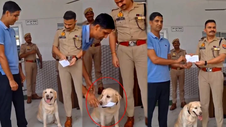 यूपी में पुलिस डॉग मैरी ने सुलझाया ब्लाइंड रेप केस, एसपी ने दिया 10000 का इनाम