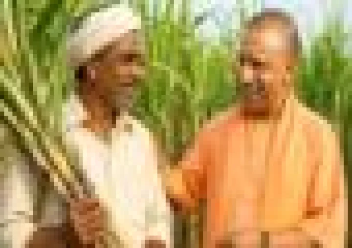 योगी सरकार ने गन्ना किसानों को किया 31,682 करोड़ का भुगतान