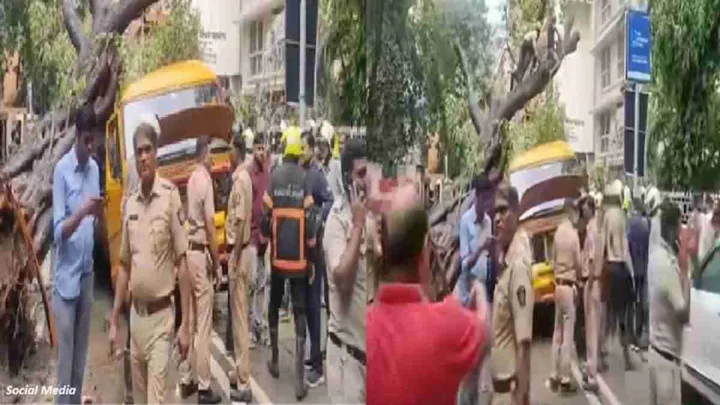 चेंबूर में स्कूल वैन पर पेड़ गिरने से मासूम की मौत, क्या बोले जिम्मेदार?