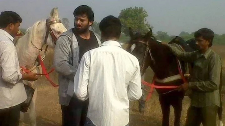 जब एसएस राजामौली ने प्रभास को दी थी घर पर घोड़ा पालने की सलाह, 'बाहुबली' से पढ़ें यह मजेदार किस्सा!