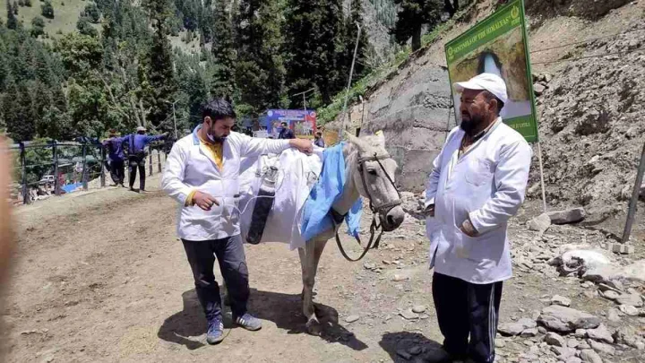 pony ambulance in amarnath yatra