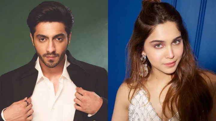 YRF की मेगा रोमांटिक-एक्शन फिल्म की रिलीज डेट का ऐलान, अहान पांडे और शरवरी मचाएंगे धमाल