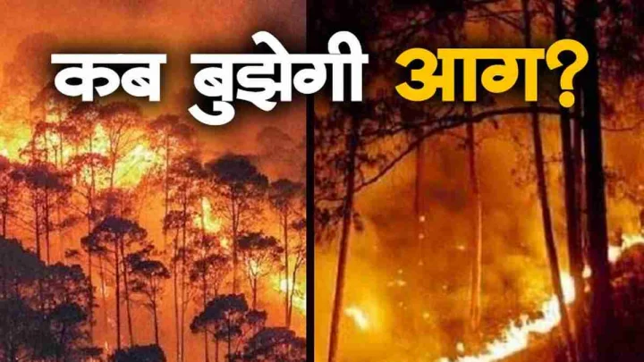 जंगल की आग के सामने लाचार होते फ्रांस और स्पेन जंगल की आग के सामने लाचार होते फ्रांस और स्पेन