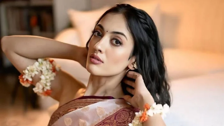 Aditi Sharma Domestic Violence Case