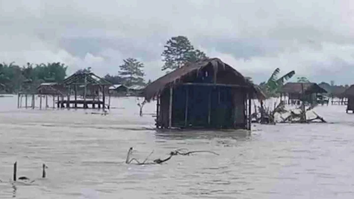 assam flood (file photo)