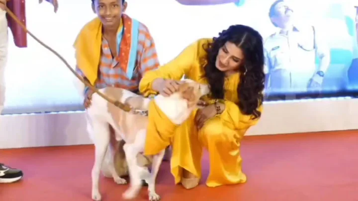 'ओह माय डॉग' स्क्रीनिंग में रवीना टंडन पर झपटा डॉग, डरने के बजाय एक्ट्रेस ने ऐसे दिखाई दरियादिली