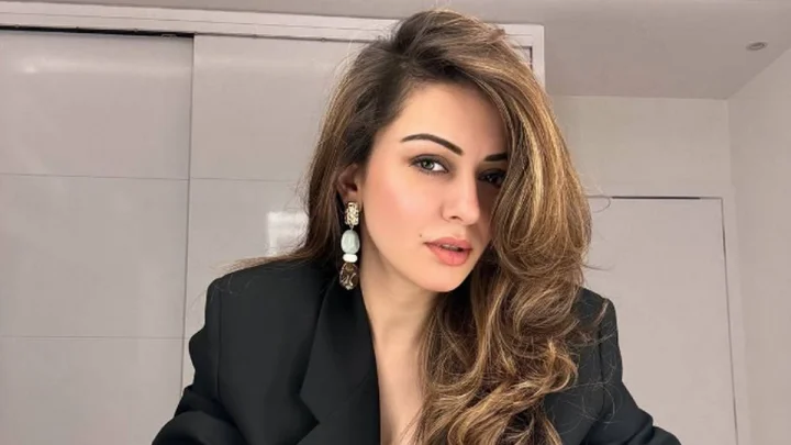 जब हंसिका मोटवानी पर लगा 'हार्मोन इंजेक्शन' लेने के आरोप, चाइल्ड आर्टिस्ट से लीडिंग एक्ट्रेस बनने का सफर