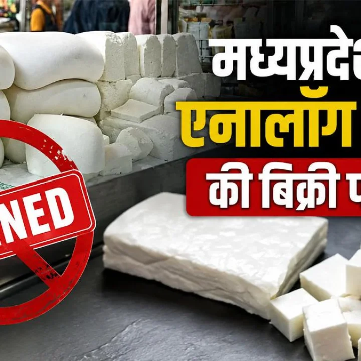 Ban on the production and sale of analogue cheese in Madhya Pradesh; analogue cheese; restriction on the sale of analogue cheese