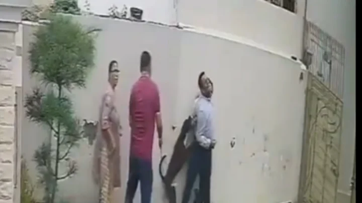 पटियालामध्ये भाड्याचे घर शोधत असलेल्या एका जोडप्यावर पिटबुलचा हल्ला