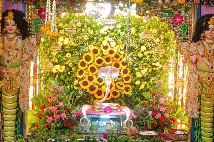 Nag Panchami 2026: कालेश्वर धाम में उमड़ा आस्था का सैलाब, नाग देवता के दर्शन को पहुंचे हजारों श्रद्धालु