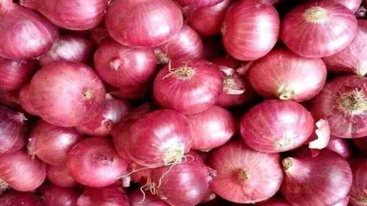 त्योहारों से पहले प्याज ने रुलाया! नासिक में 76% बढ़े दाम, कई राज्यों में कीमतें दोगुनी
