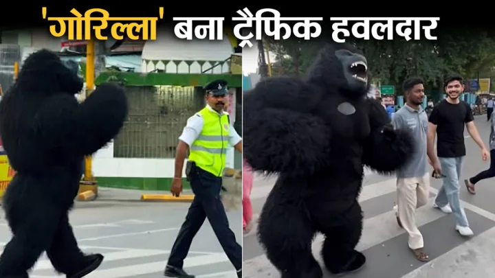 इंदौर में 'गोरिल्ला' बना ट्रैफिक हवलदार, नियम तोड़ने वालों को पढ़ाया सड़क पर चलने का पाठ