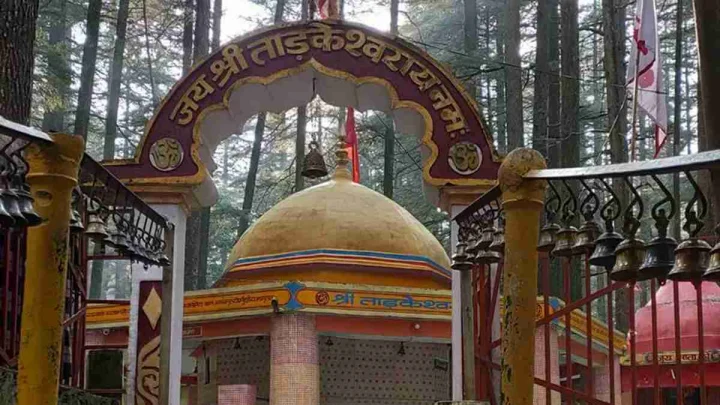 देवदार के घने जंगलों में विराजते हैं ताड़केश्वर महादेव, सावन में जरूर करें दर्शन