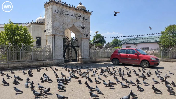 दरगाहों-मस्जिदों में पक्षियों को दाना डालने पर रोक से कश्मीर में बवाल, वक्फ बोर्ड ने बदला आदेश