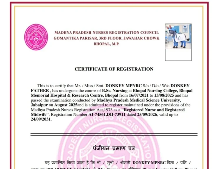 Nursing certificate issued in the name of a donkey in Madhya Pradesh; Madhya Pradesh News
