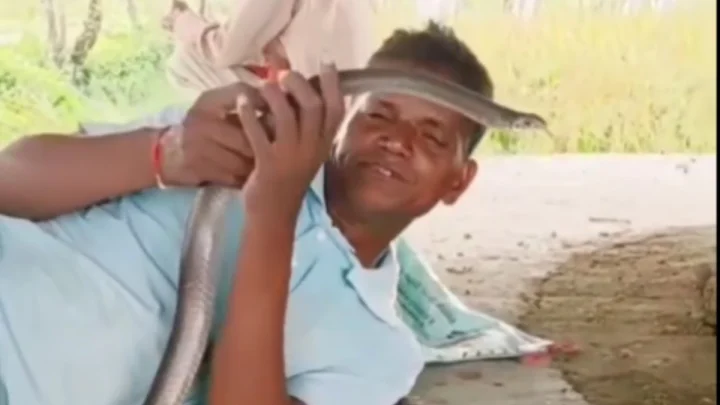सापाशी खेळणे महागात पडले! सापाने चावल्याने एका दिव्यांग व्यक्तीचा मृत्यू