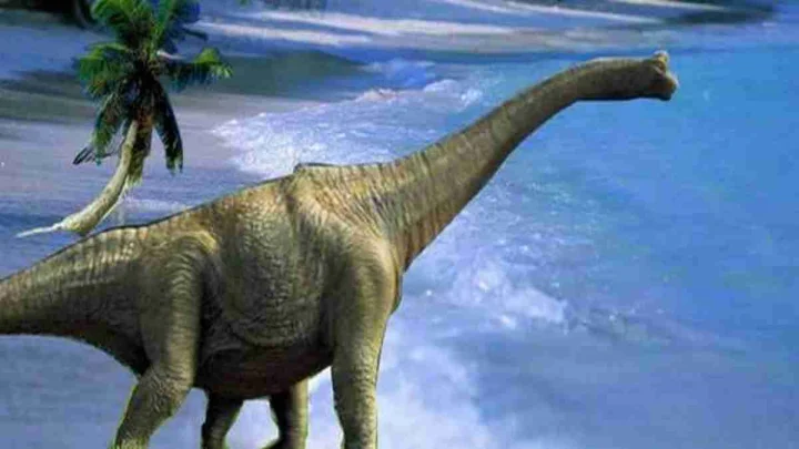 dinosaur