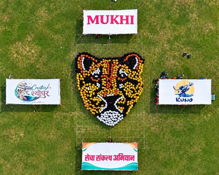 चीता स्टेट ‘मध्यप्रदेश: सेवा संकल्प अभियान में महिलाओं एवं छात्राओं ने बनाई मादा चीता 'मुखी' की विशाल प्रतिकृति