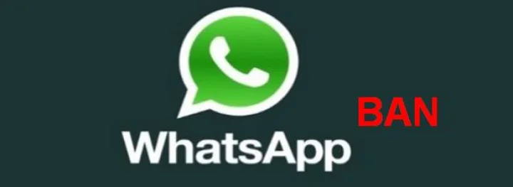 WhatsApp is failing to stop the spread of child abuse videos