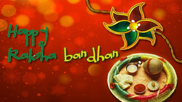 Raksha bandhan essay in gujarati
