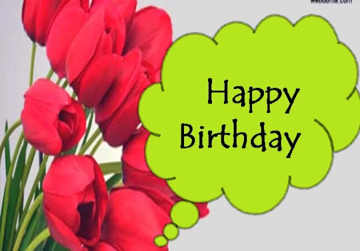 16 February birthday
