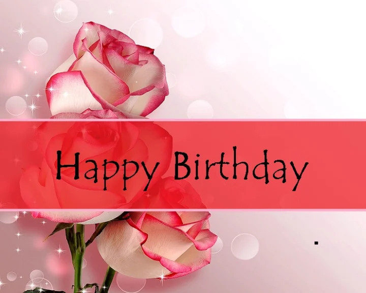 21 November birthday