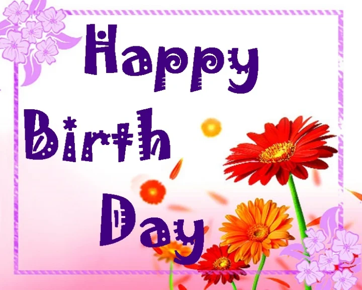 15 November
