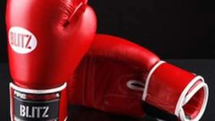 Professional boxing