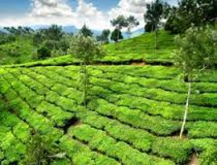 ದಕ್ಷಿಣ ಕಾಶ್ಮೀರ