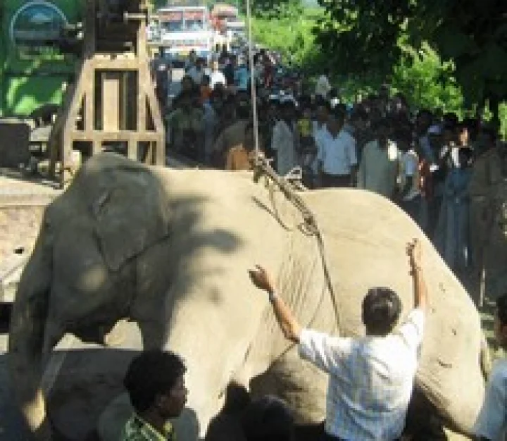 ಸಕಲೇಶಪುರ