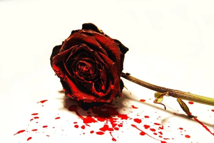 ಸೆಲ್ಫಿ ವಿಡಿಯೋ