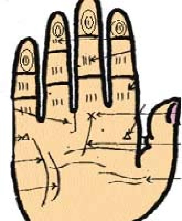 ಕೈಬೆರಳಲ್ಲಿ ಶಂಖು