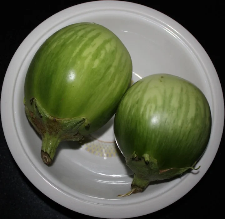 ಬದನೆಕಾಯಿ