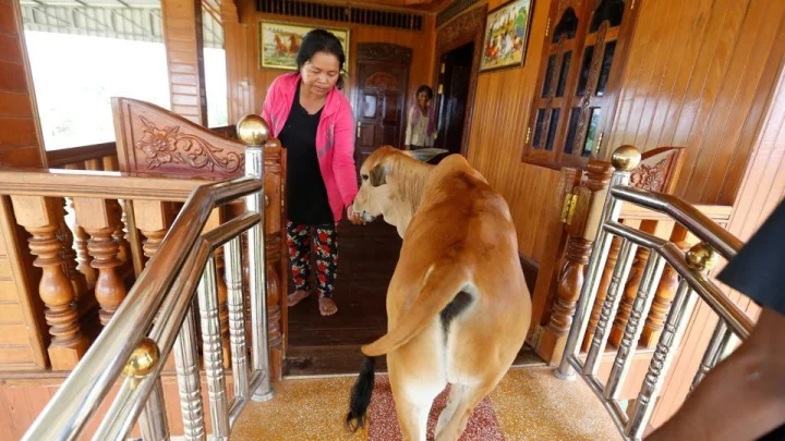 ಕಾಂಬೋಡಿಯಾ ಮಹಿಳೆ