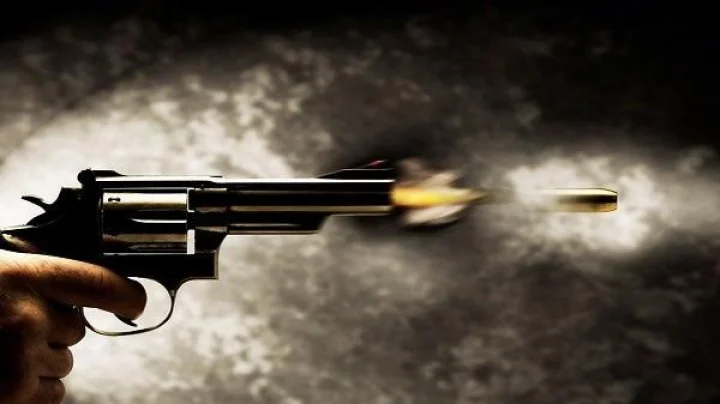 अमेरिका: माजी विद्यार्थ्यांचा अंदाधुंद गोळीबार, १७ ठार