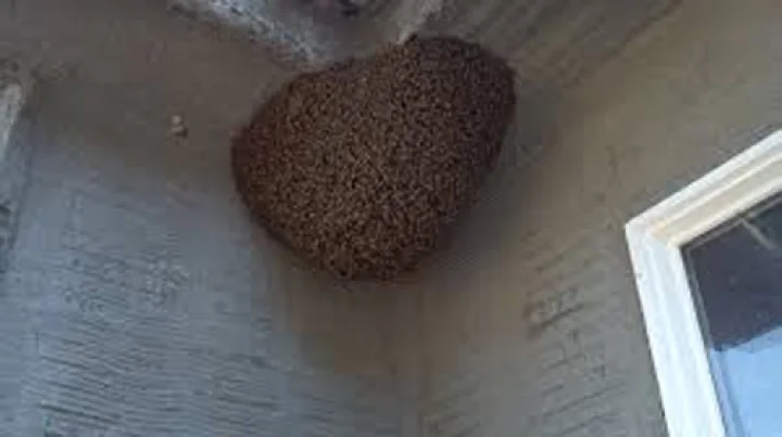 ಬೆಂಗಳೂರು