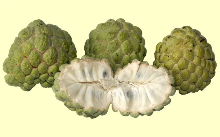 ಆರೋಗ್ಯ