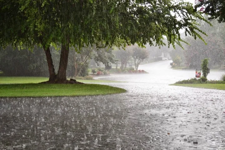 rain in August and September