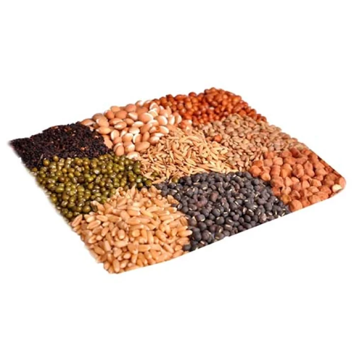 ಬೆಂಗಳೂರು 