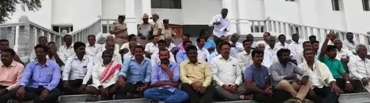 ಹಣ್ಣುಗಳ ರಾಜ